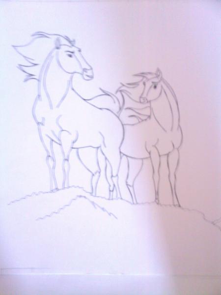 des chevaux